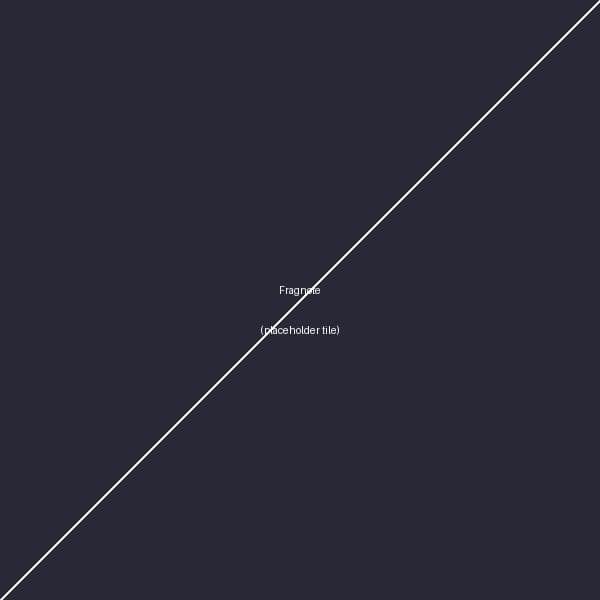 Fragnote - store built by our team