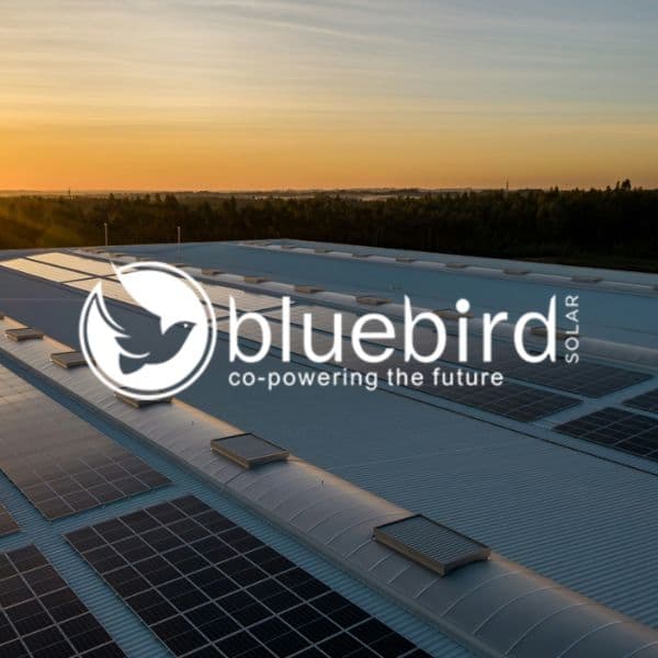 Bluebird - store built by our team